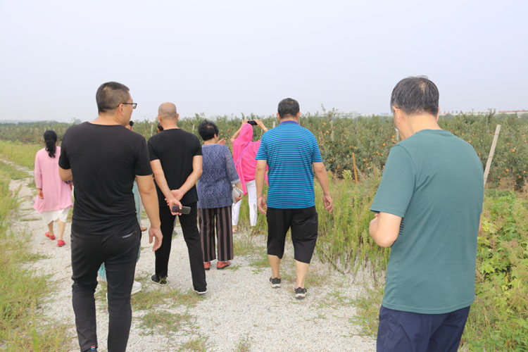 乳山三宝酵素首发仪式(图5)