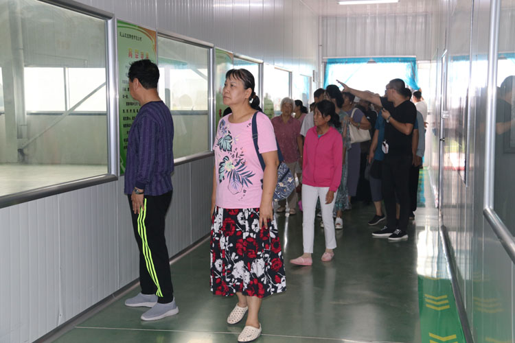 三宝酵素检验检测指标合格，打造高品质、高质量的三宝苹果酵素(图3)